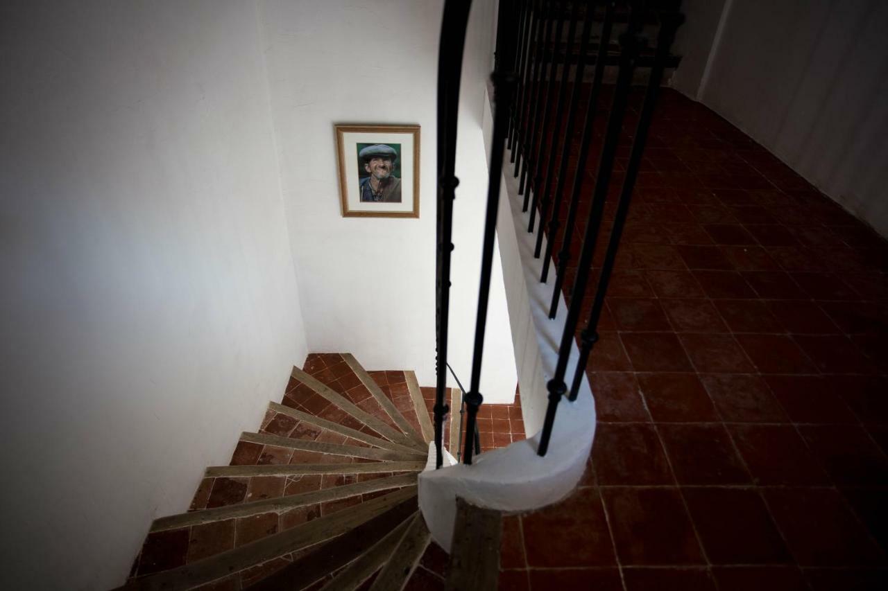 Maison D'Hotes Ventoureso Malemort-du-Comtat Dış mekan fotoğraf